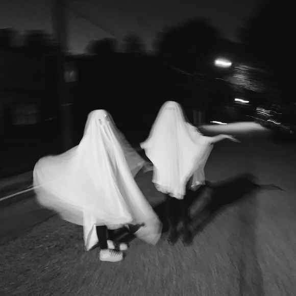 Meet your Posher, Ava - Picture 1 of 1